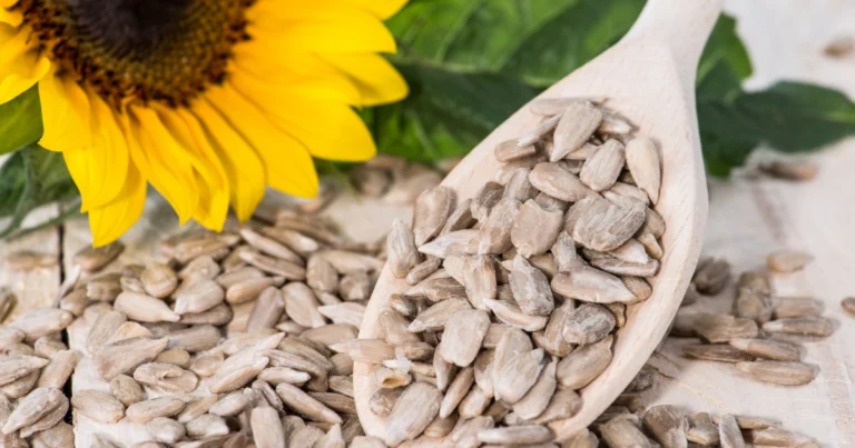 Why Sunflower Seeds Are Good for Your Health ?