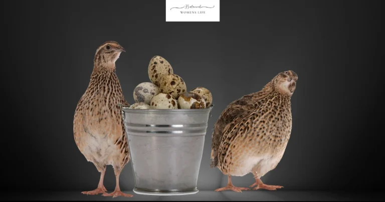Quail Egg Delight: A Tiny Bite of Happiness!