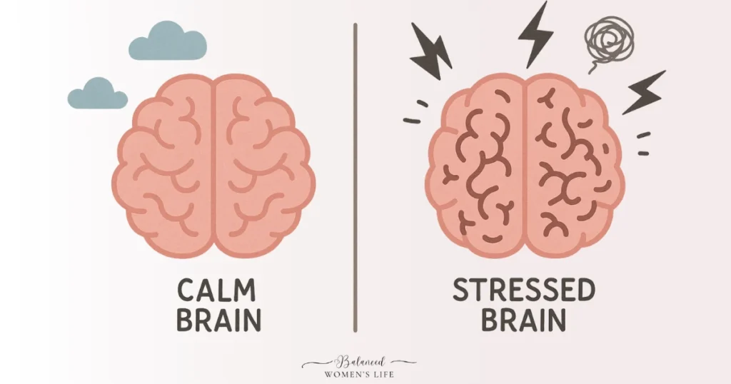 Mindfulness Brain Effects